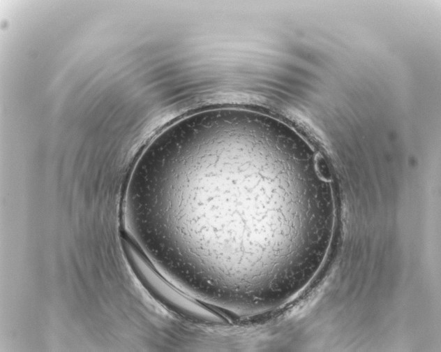 X0000088431033200705291520