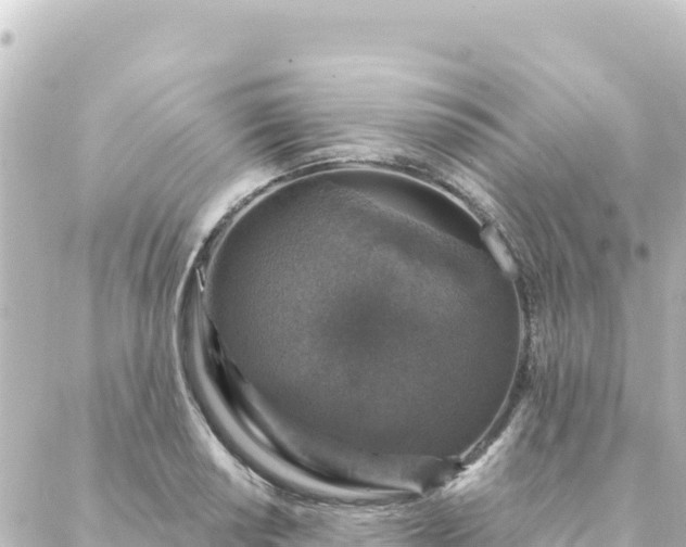 X0000088431034200705291520