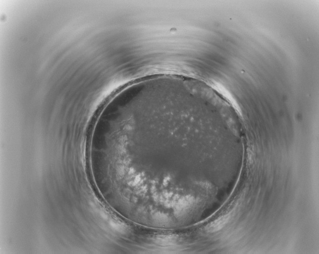 X0000088431035200705291520