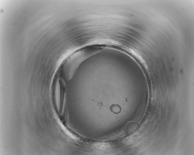 X0000088431037200705291520