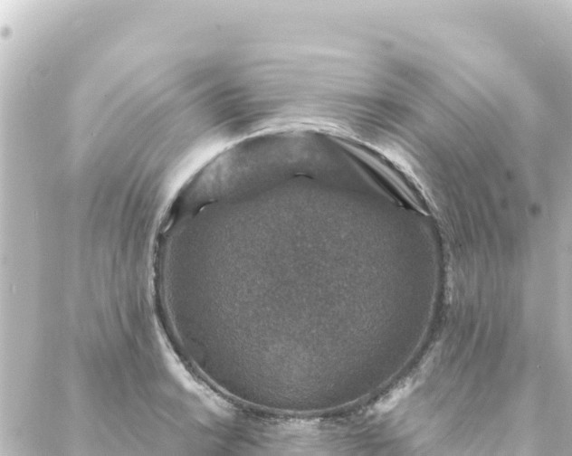 X0000088431038200705291520