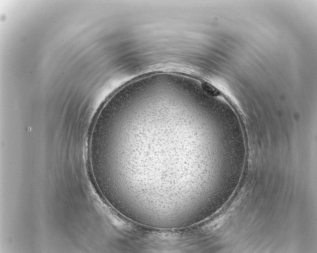 X0000088431040200705291520