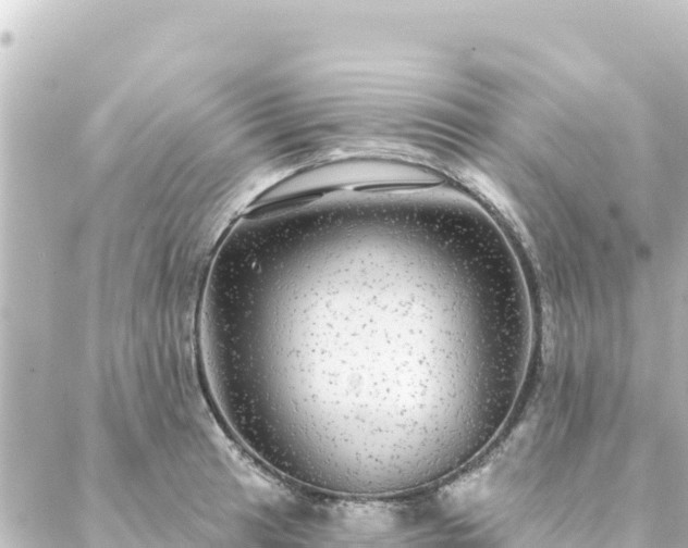 X0000088431041200705291520