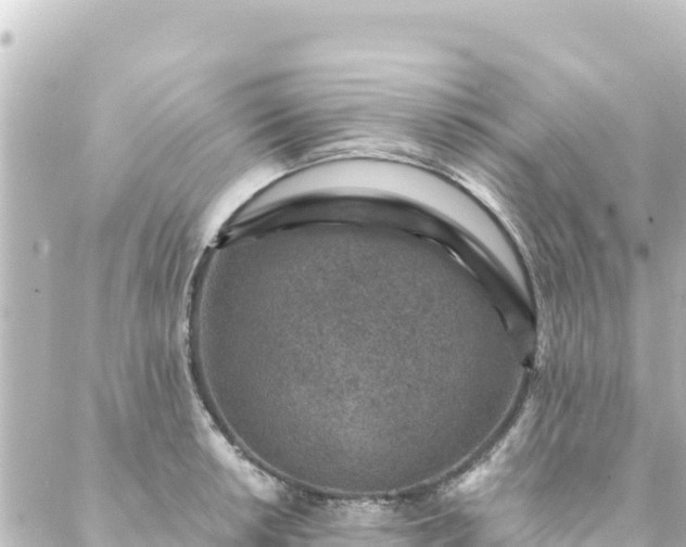 X0000088431042200705291520