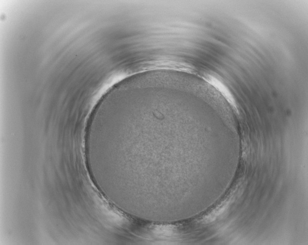 X0000088431043200705291520