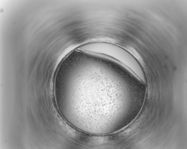 X0000088431044200705291520