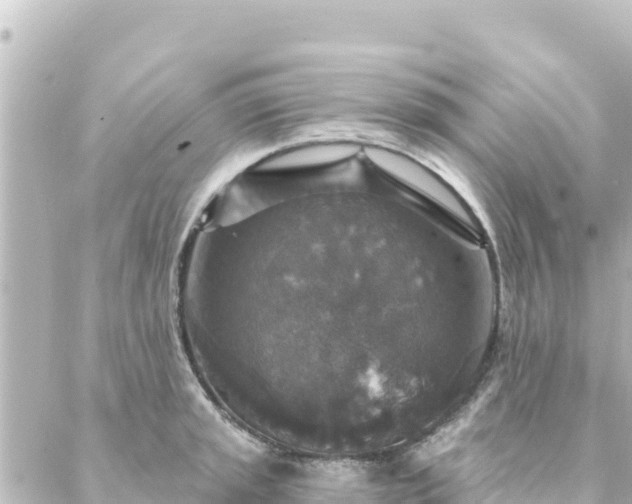 X0000088431045200705291520