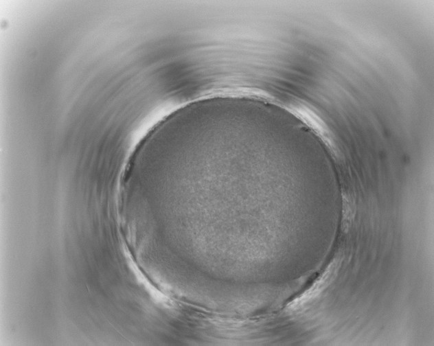 X0000088431046200705291520