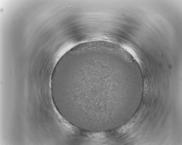 X0000088431047200705291520