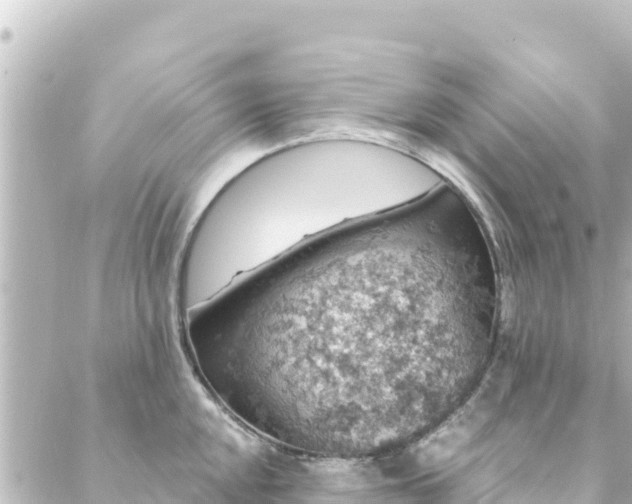 X0000088431048200705291520