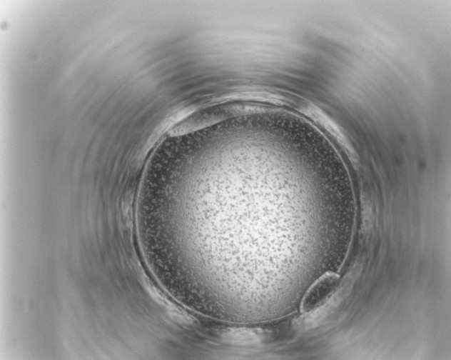 X0000088431049200705291520