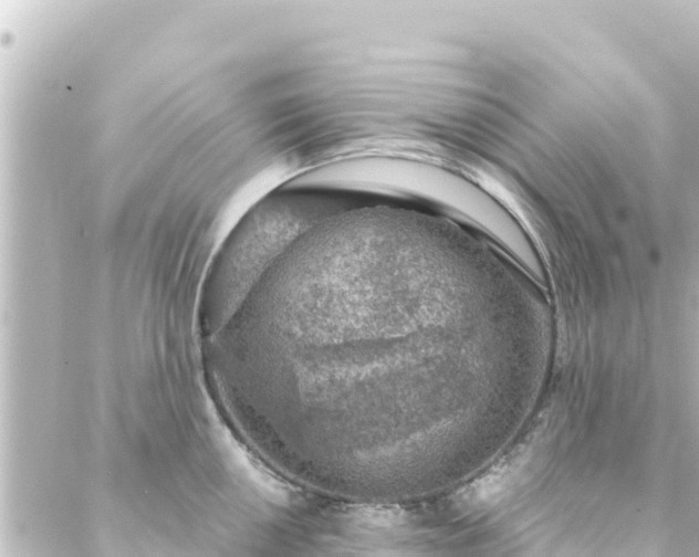 X0000088431050200705291520