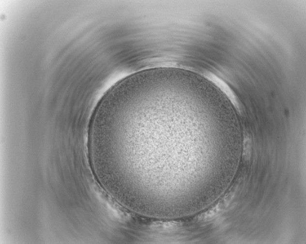 X0000088431051200705291520