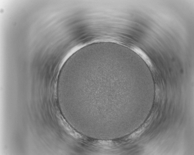 X0000088431052200705291520