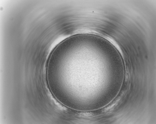 X0000088431053200705291520