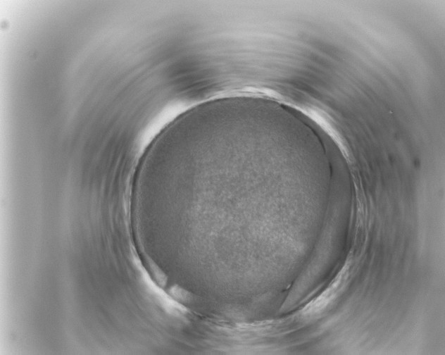 X0000088431054200705291520