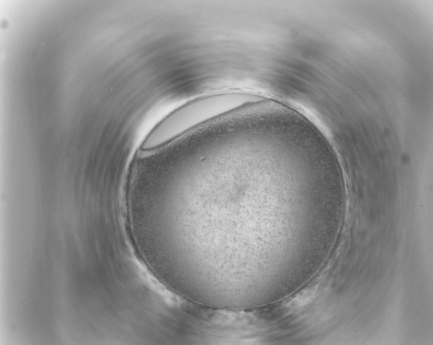 X0000088431056200705291520