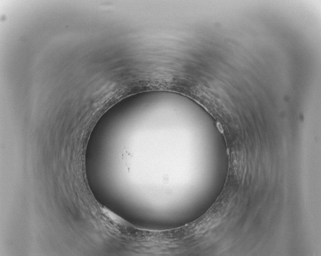 X0000088431057200705291519