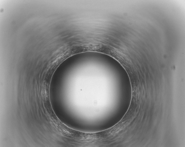 X0000088431058200705291519