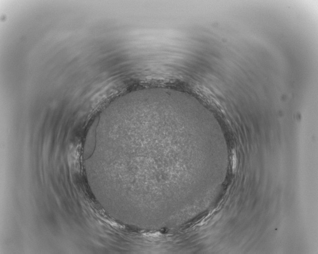 X0000088431059200705291519