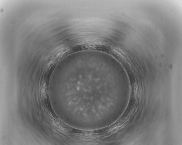 X0000088431060200705291519