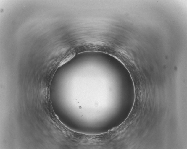 X0000088431061200705291519