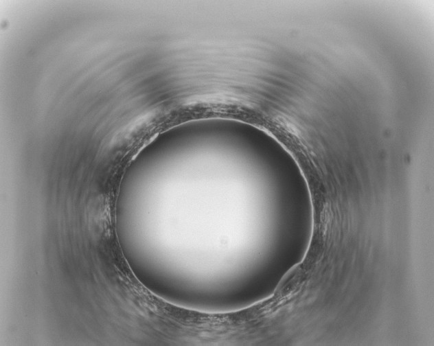 X0000088431062200705291519