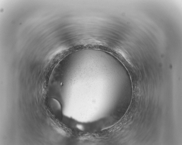 X0000088431063200705291519