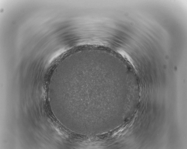 X0000088431064200705291519