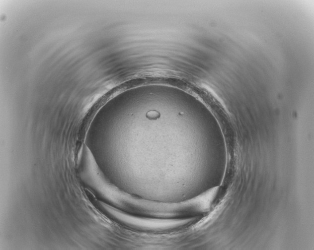 X0000088431065200705291519