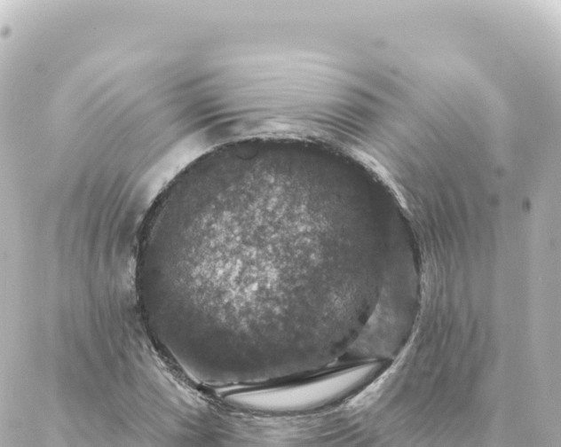 X0000088431066200705291519