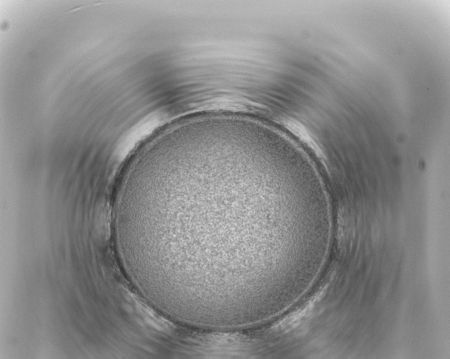 X0000088431067200705291519