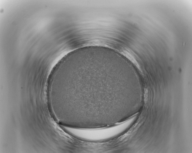 X0000088431068200705291519