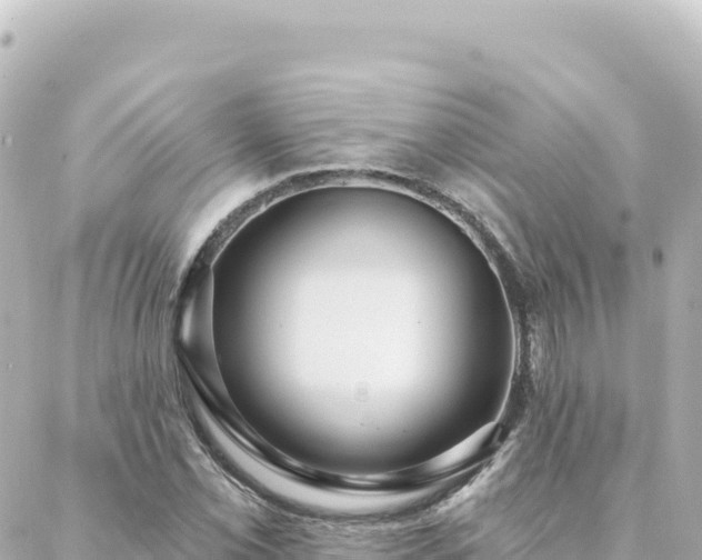 X0000088431069200705291519