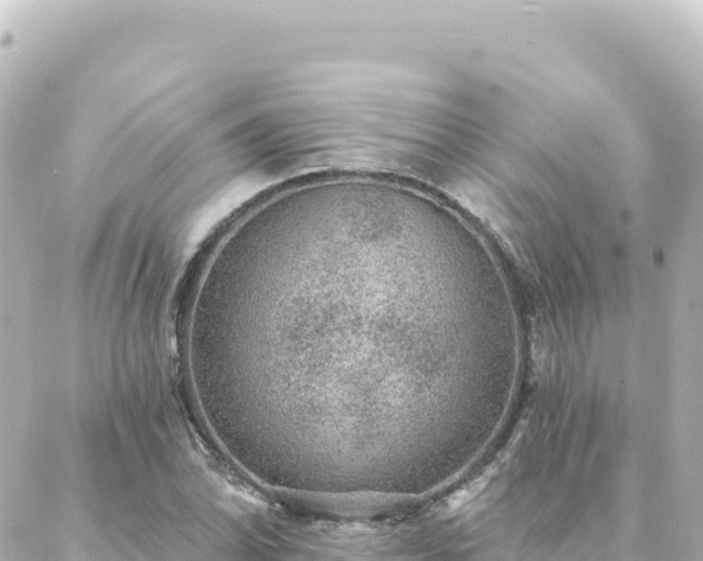 X0000088431070200705291519