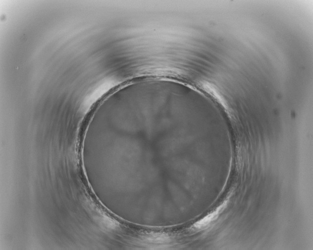 X0000088431071200705291519