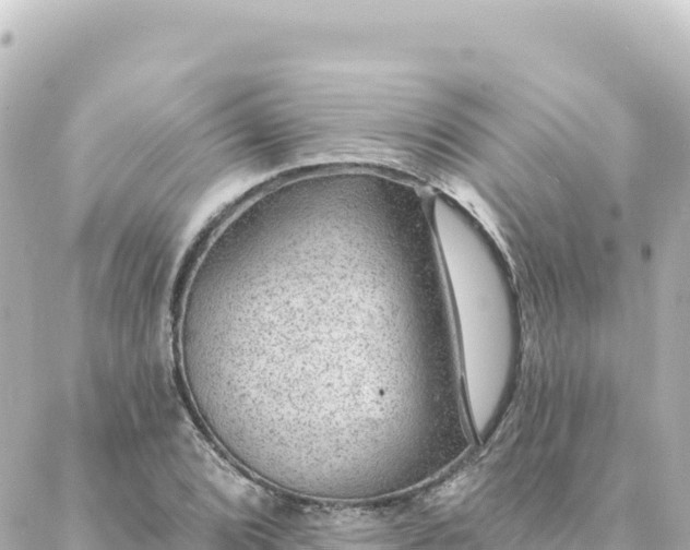 X0000088431072200705291519