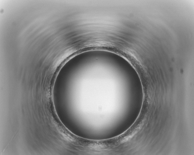 X0000088431073200705291519