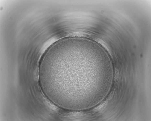 X0000088431075200705291519