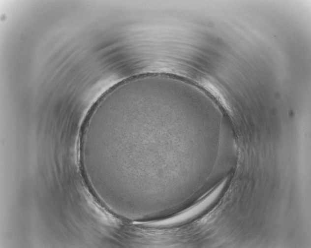 X0000088431076200705291519