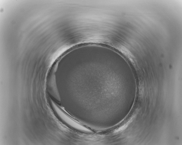 X0000088431077200705291519