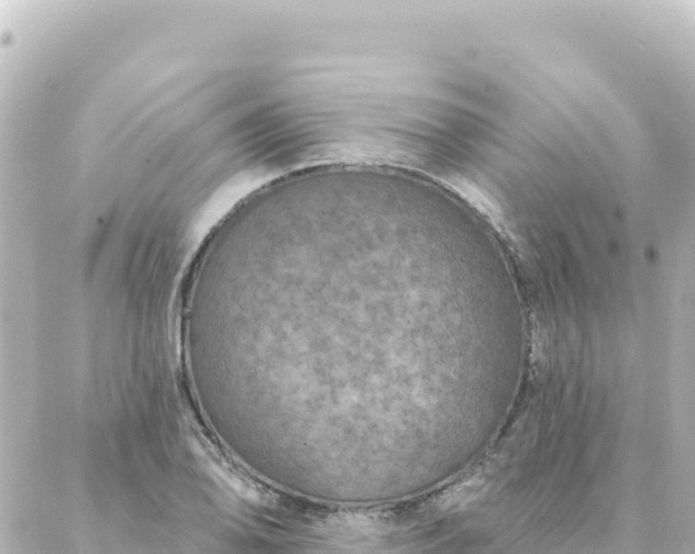 X0000088431078200705291519