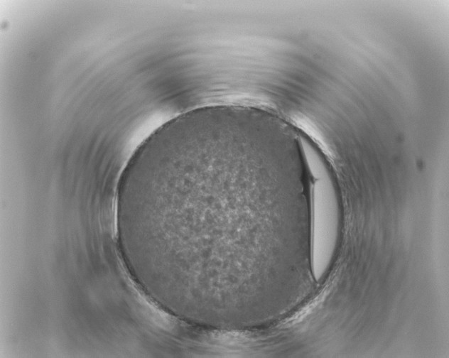 X0000088431079200705291519