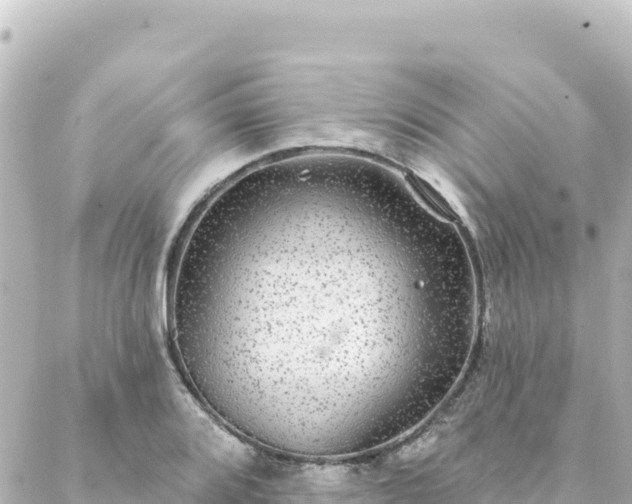 X0000088431080200705291519