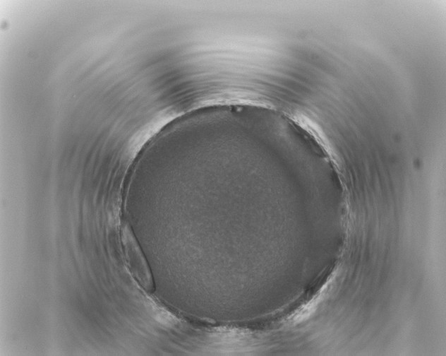 X0000088431081200705291519