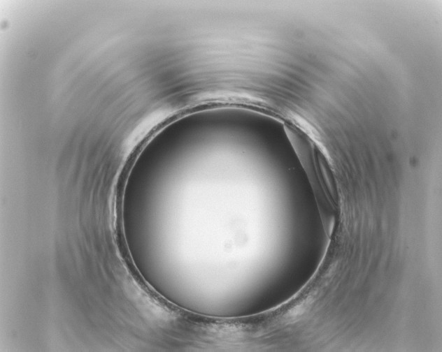 X0000088431082200705291519