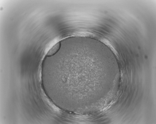 X0000088431083200705291519