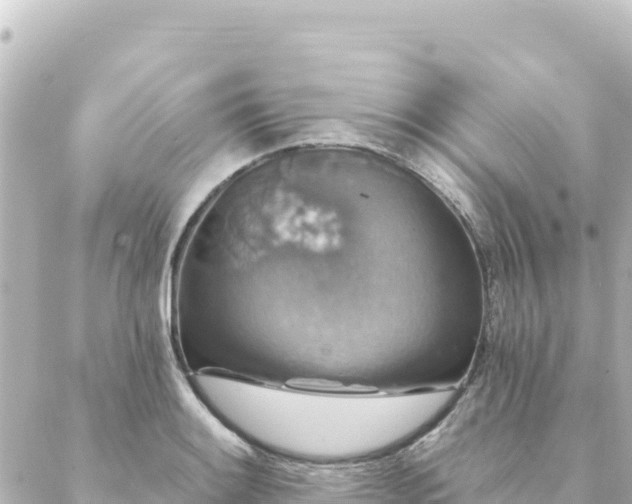 X0000088431084200705291519