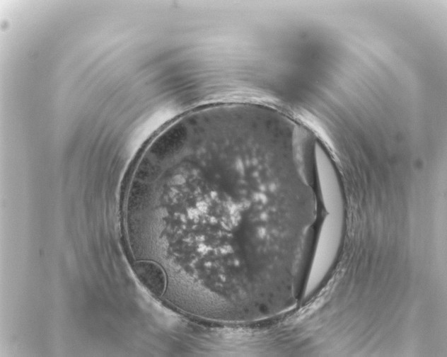 X0000088431087200705291519