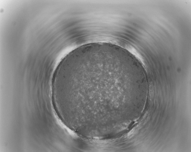 X0000088431088200705291519